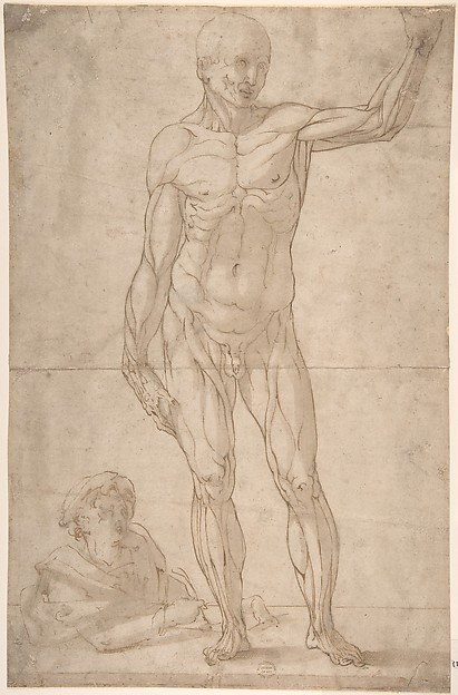 A youth lower left drawing an ecorché of a standing man — Unknown artist