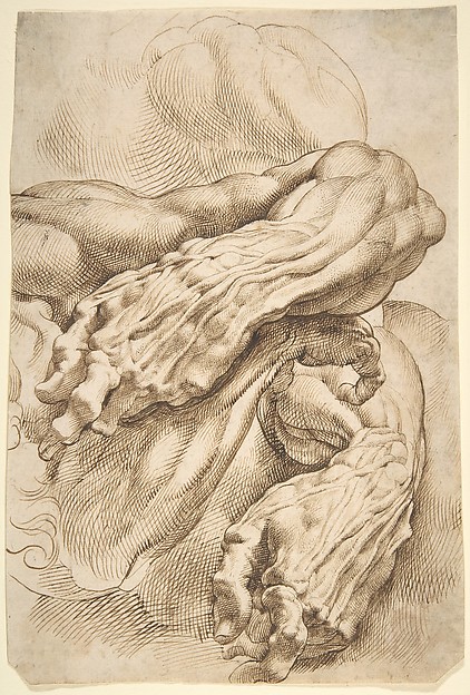 Anatomical Studies: a left forearm in two positions and a right forearm — Peter Paul Rubens