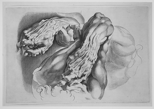 Three Studies of Écorchés — Paulus Pontius