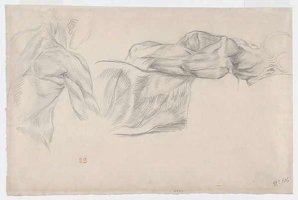 Écorché: Studies of Arms and Shoulders — Eugène Delacroix