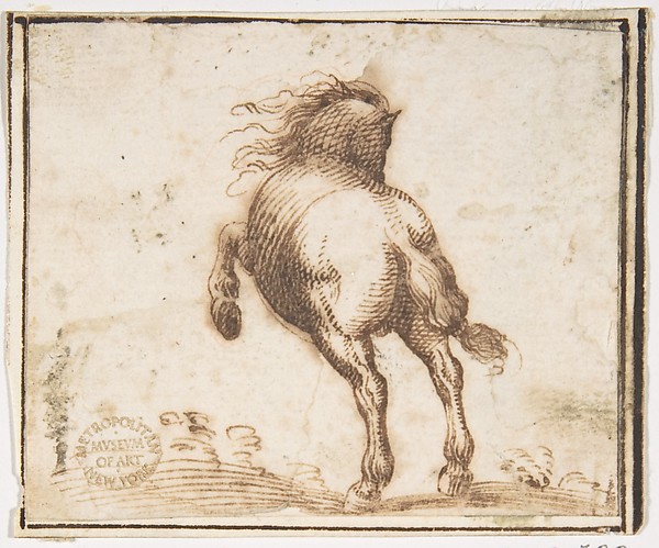 Horse — Francesco Allegrini