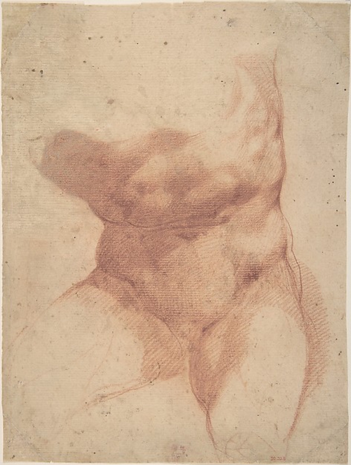 Study after the Belvedere Torso — Cavaliere d'Arpino