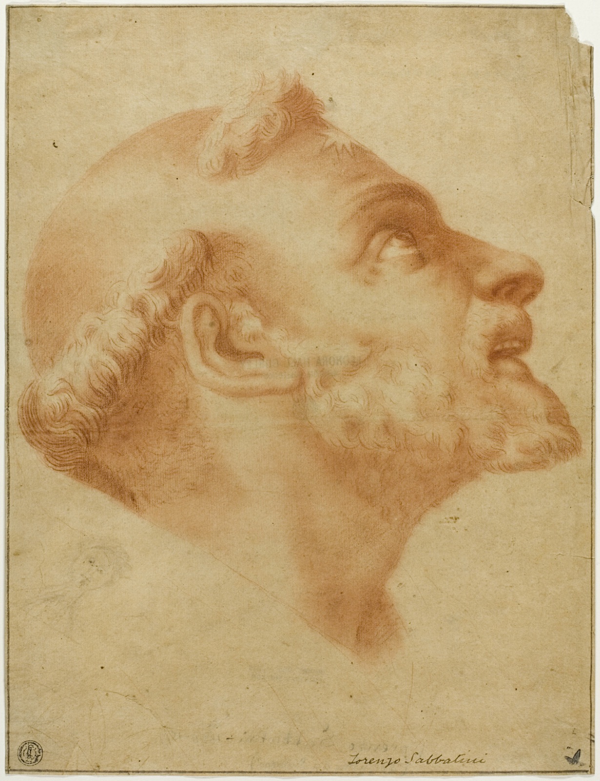 Upturned Head of Saint Dominic — Lorenzo Sabbatini, called Lorenzino da Bologna, after
