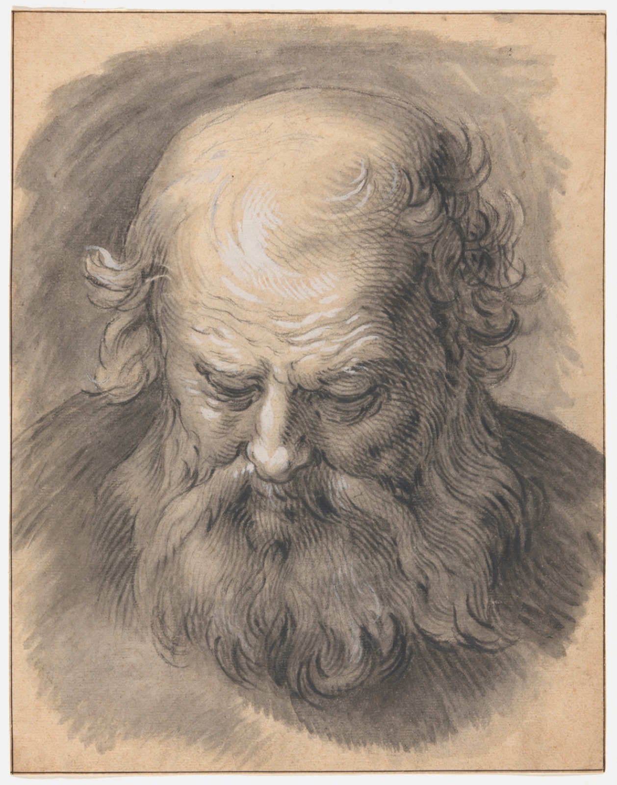 Study of the Head of a Bearded Man — Abraham Bloemaert