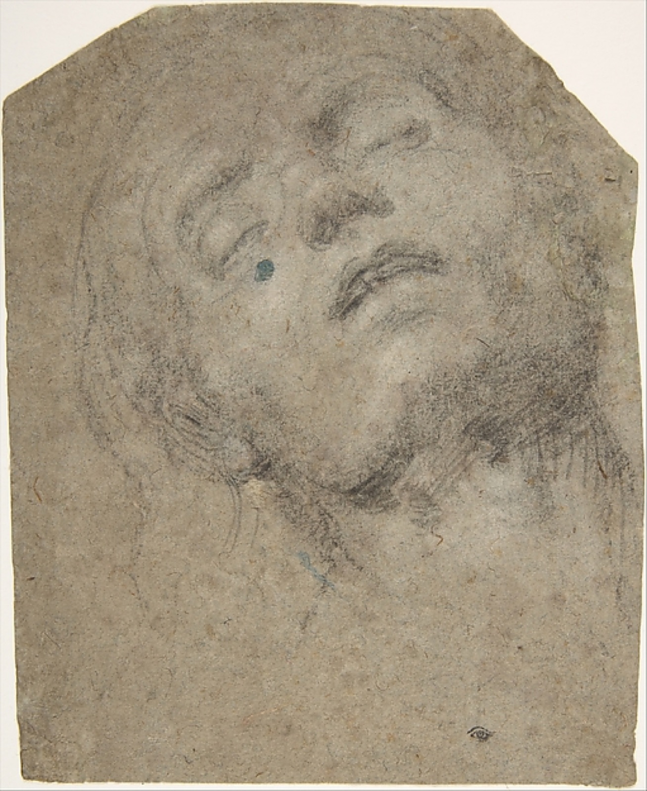Study of a Head — Giovanni Gerolamo Savoldo
