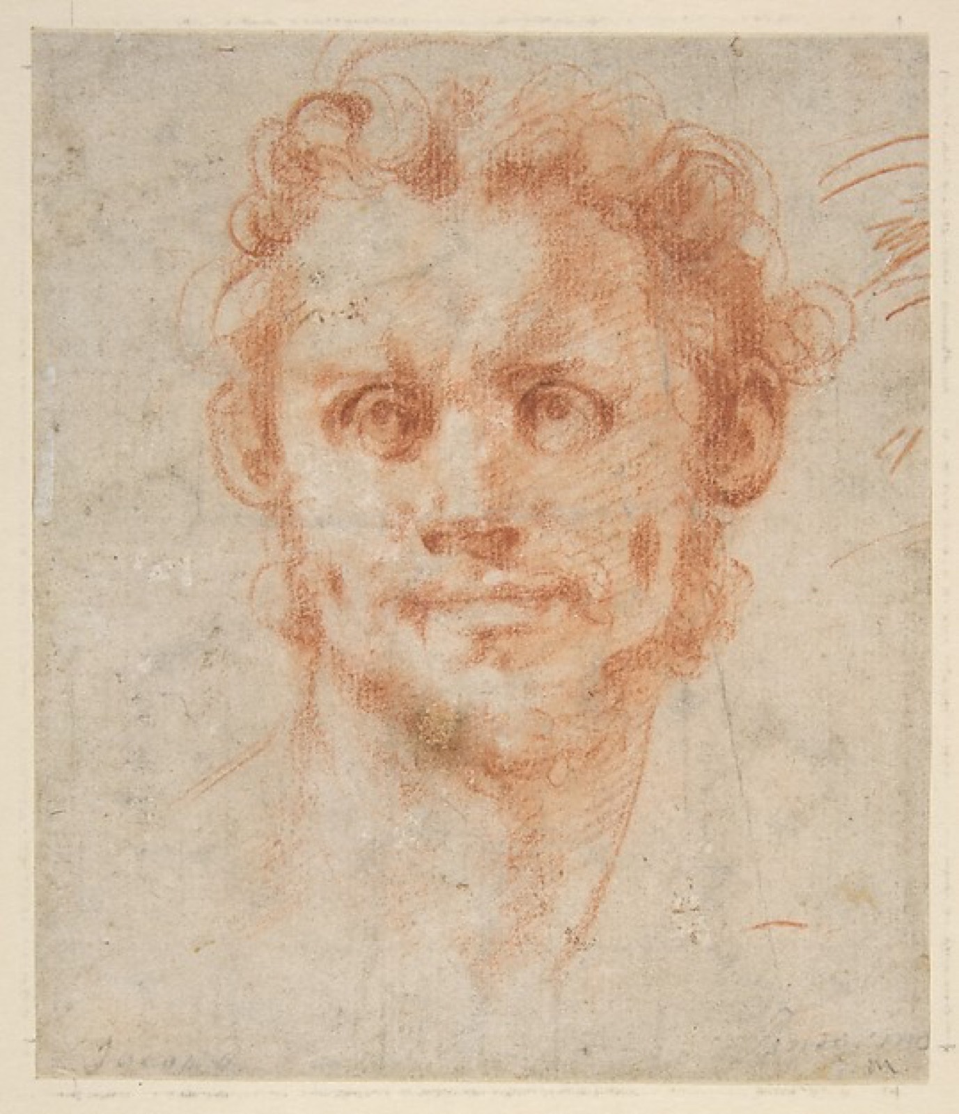 Study of a Man's Head — Jacopo da Pontormo