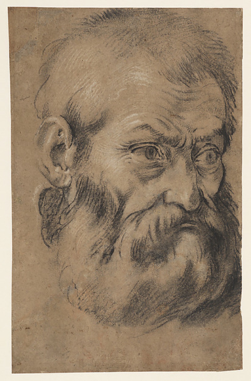 Head of beared man (recto), Study of an apostle (verso) — Giacomo Cavedone