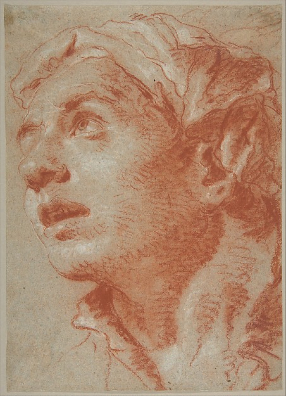 Head of a Young Man in Three-Quarter View — Giovanni Battista Tiepolo