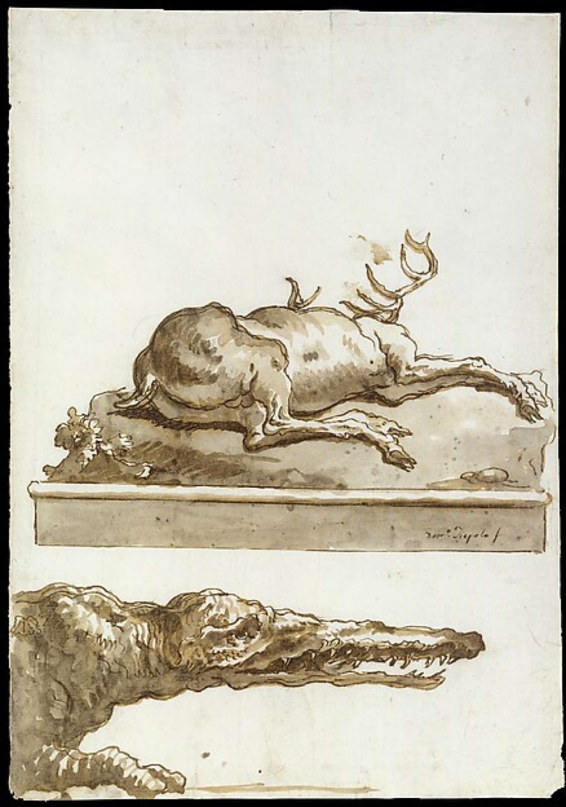 A Stag Lying Down (on a base): The Head of a Crocodile — Giovanni Domenico Tiepolo