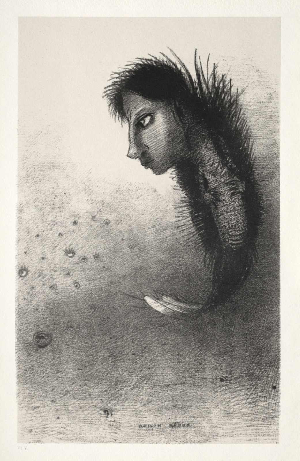 Then There Appears a Singular Being, Having the Head of a Man on the Body of a Fish — Odilon Redon