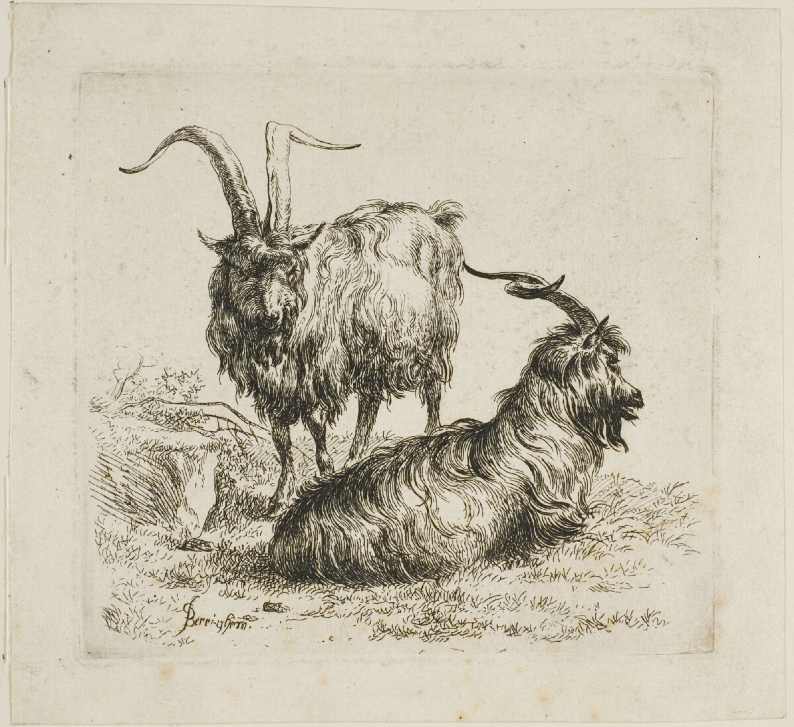 Two Goats with Large Horns, from Various Animals — Nicolaes Berchem
