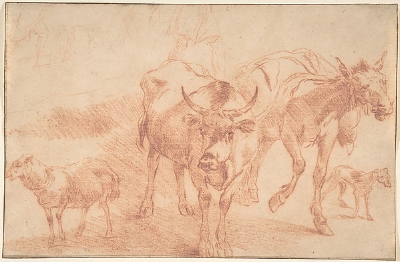 Animal Studies — Nicolaes Berchem