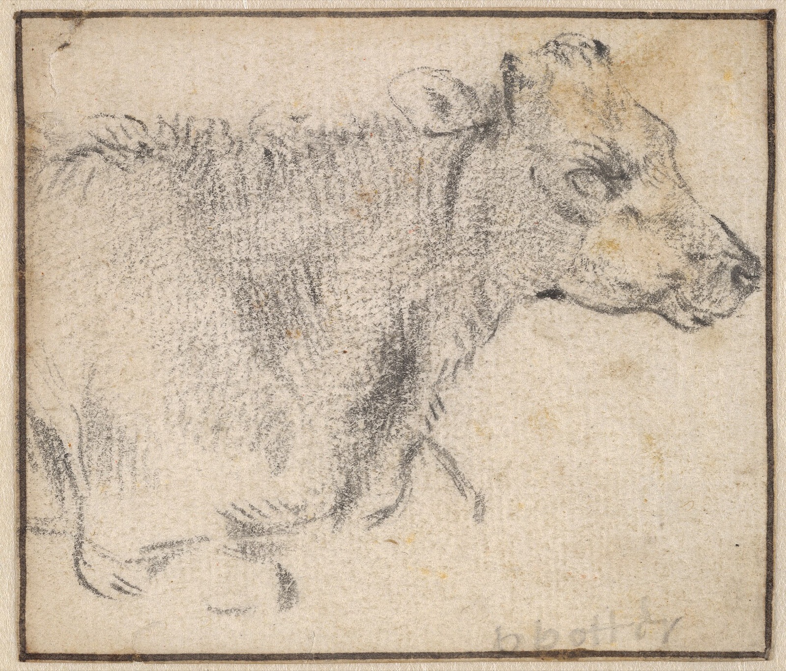 Study of a lying cow MET DP833930 — Paulus Potter
