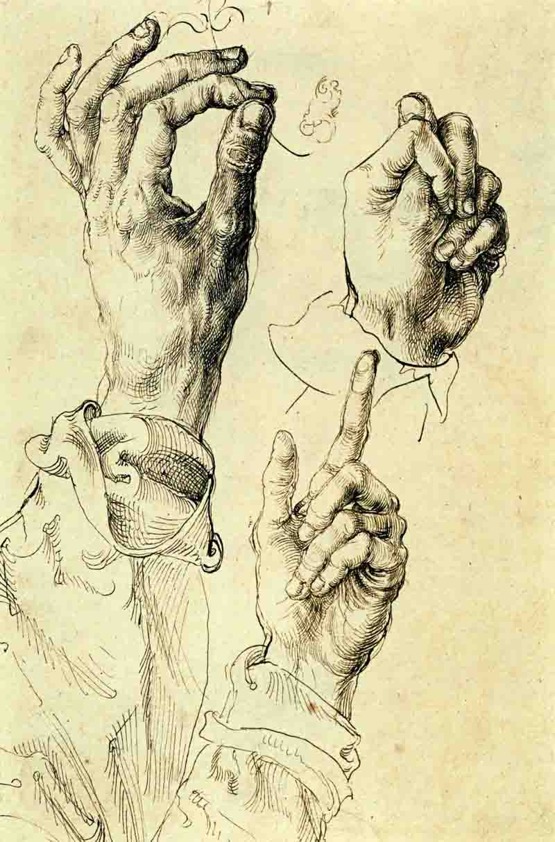 Albrecht Durer hand study drawing — Artiste inconnu