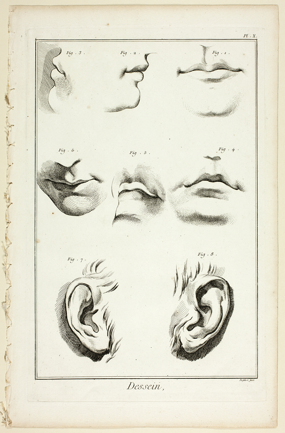 Design: Facial Anatomy from Encyclopédie — A. J. Defehrt