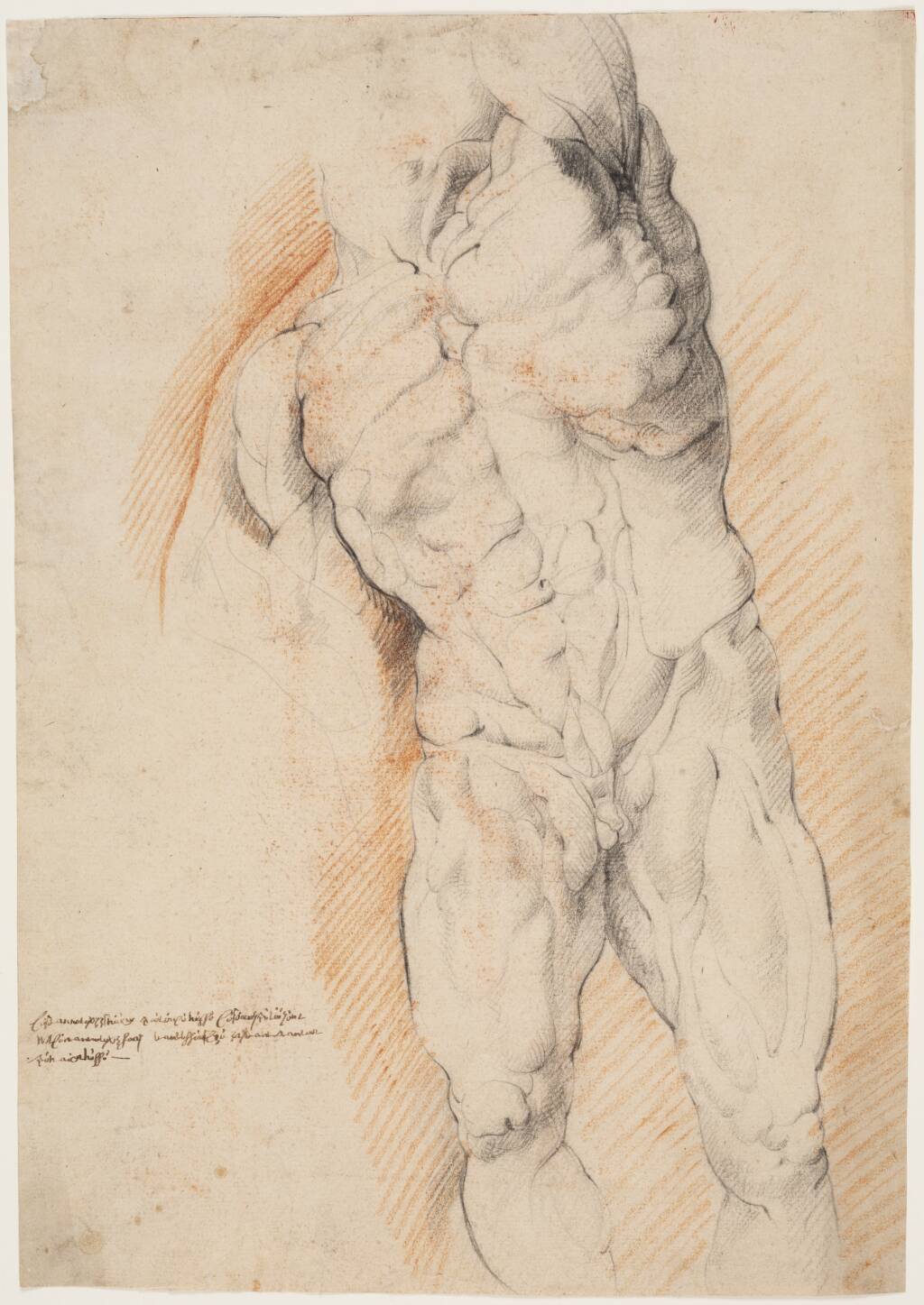 Anatomisk studie (ècorché). En stående, flået mand med løftet venstre arm set forfra — Willem Panneels