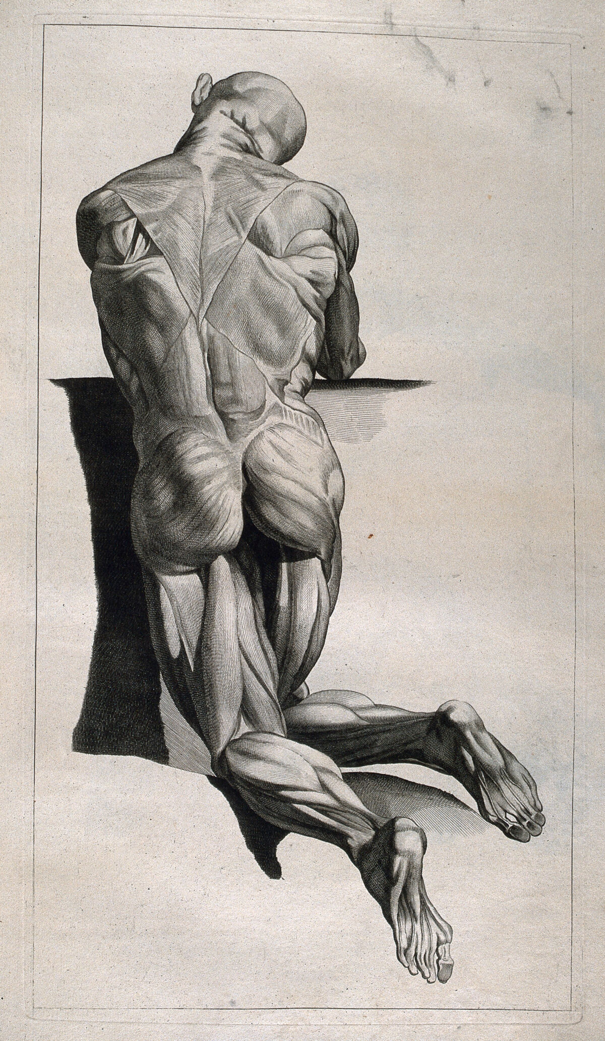 A kneeling écorché figure, seen from behind. Etching by or after J. Gamelin, 1778/1779. — Unknown artist