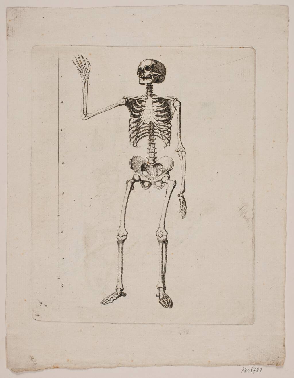 Skelet — Gerhard Ludvig Lahde
