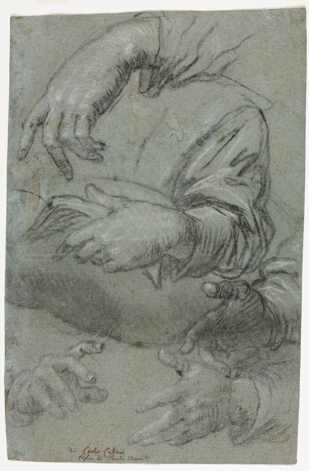 Carletto Caliari - Studies of Hands (recto) - 1929.549.a - Cleveland Museum of Art — Carletto Caliari