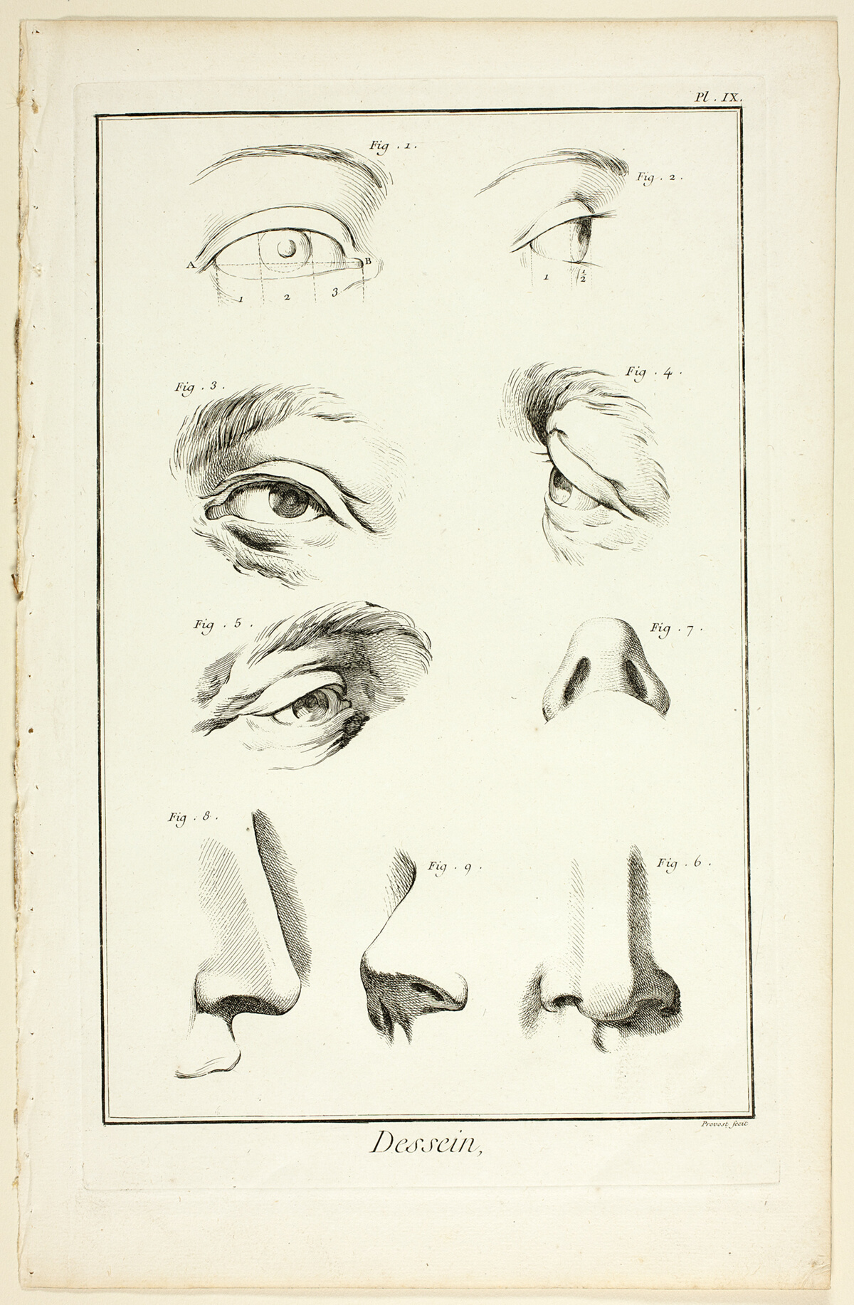 Design: Facial Anatomy from Encyclopédie — Benoît-Louis Prévost
