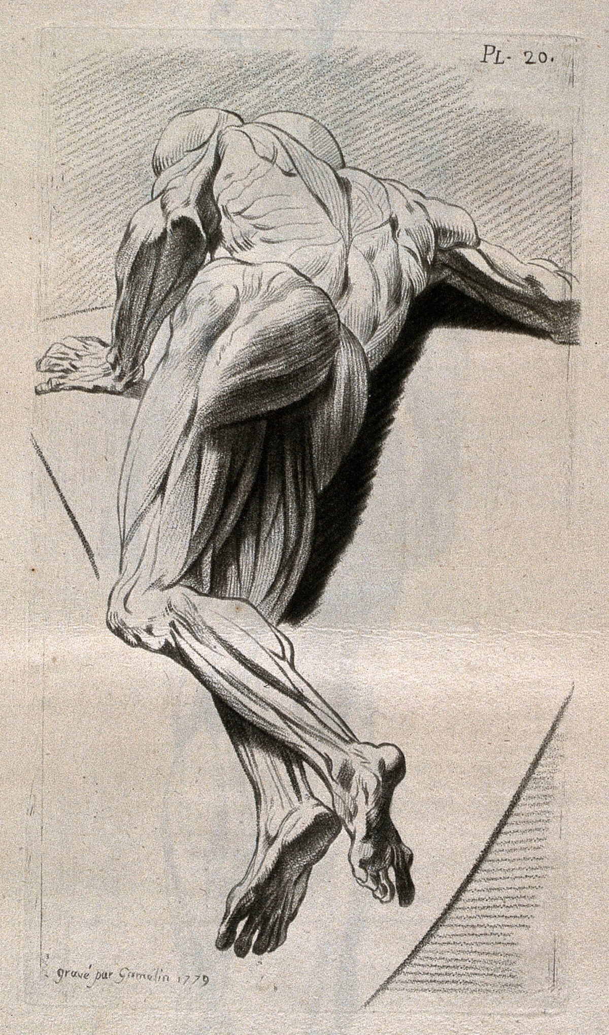 An écorché figure, lying on its side: foreshortened view. Crayon manner print by J. Gamelin after himself, 1779. — Unknown artist