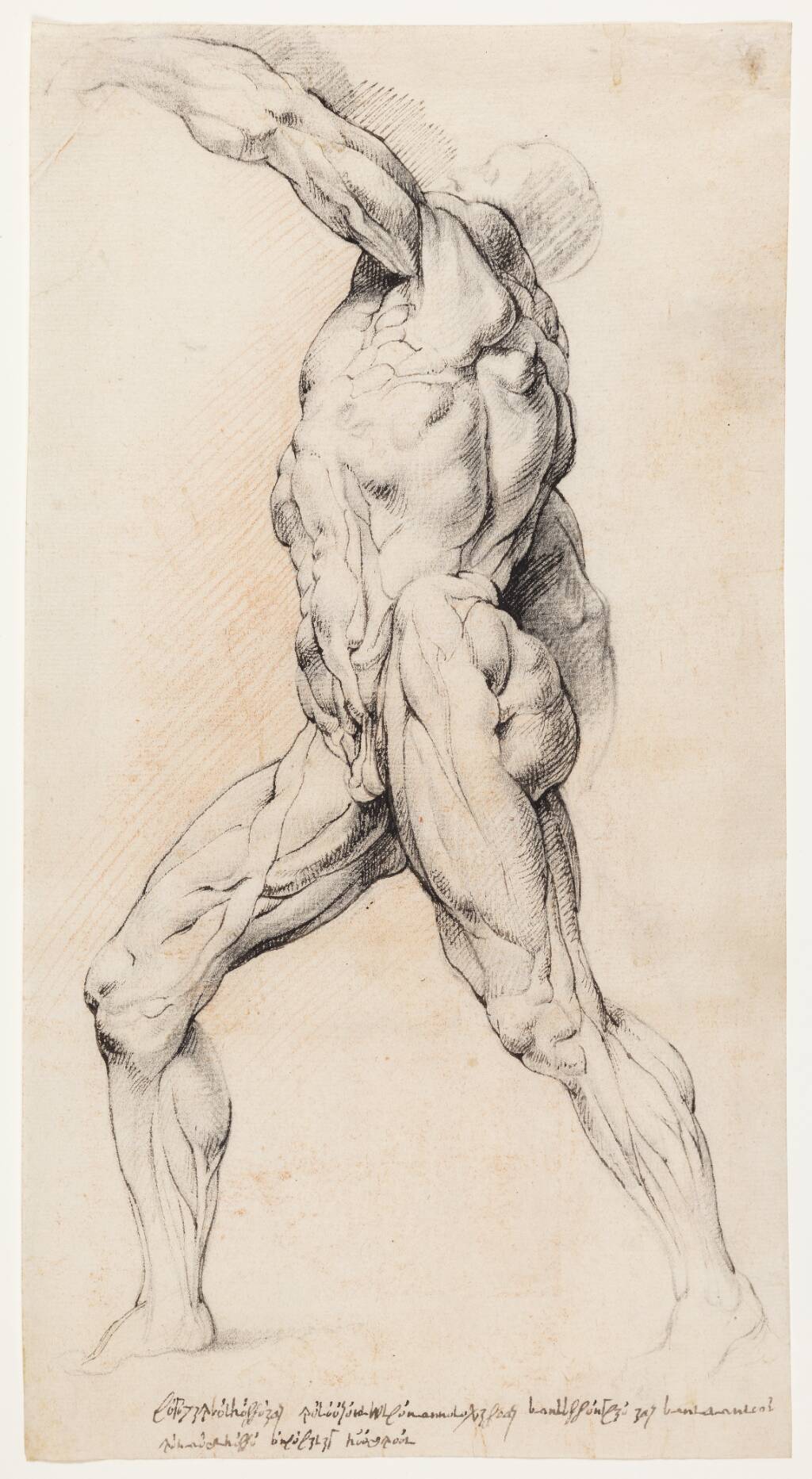 Anatomisk studie (écorché).En gående, flået mand med løftet venstre arm, venstre drejet — Willem Panneels