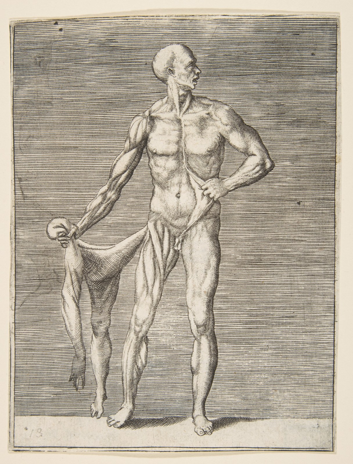 Flayed man seen from the front, holding the skin of his right arm and leg — Giulio Bonasone