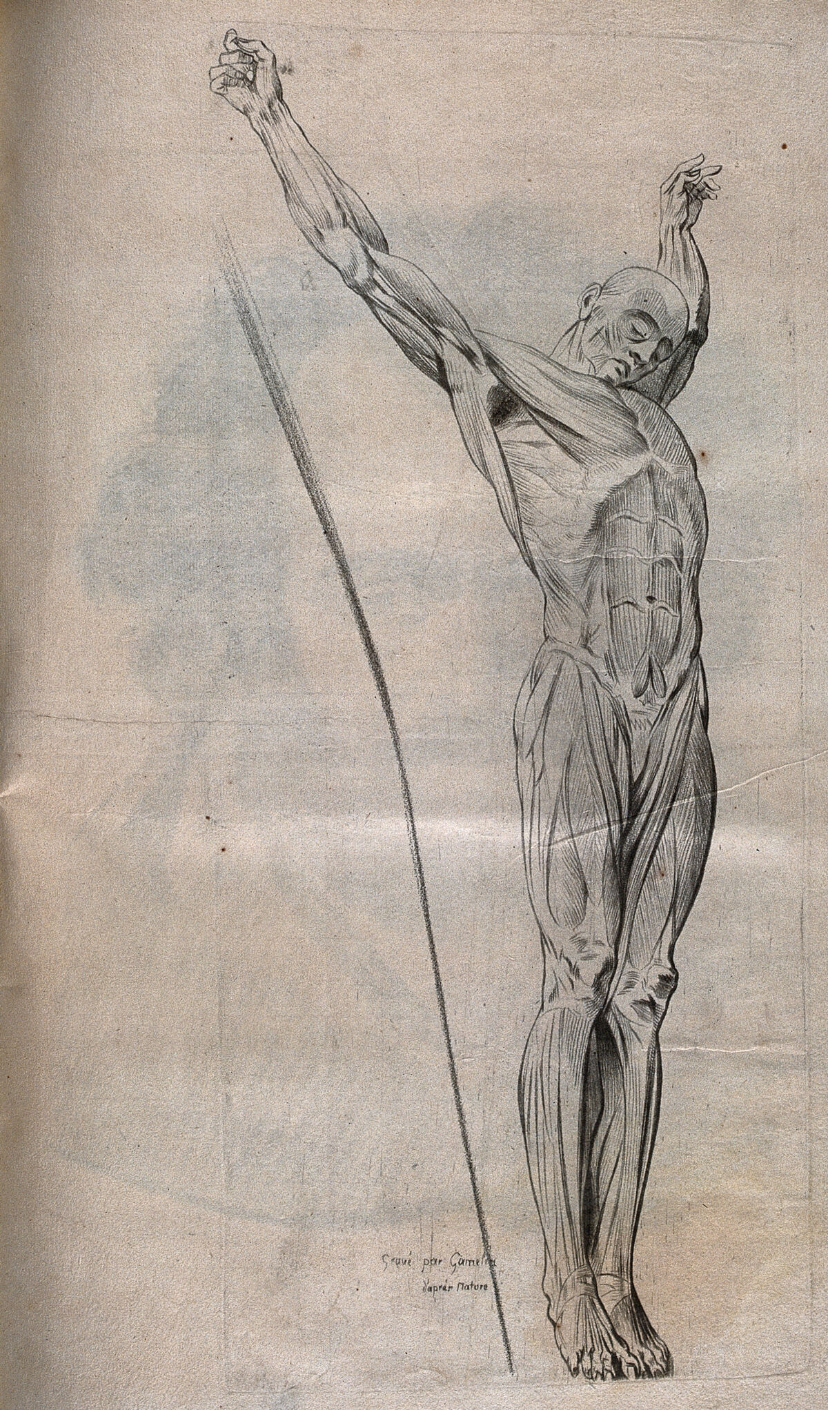 A crucified écorché figure. Crayon manner print by J. Gamelin after himself, 1778/1779. — Unbekannter Künstler