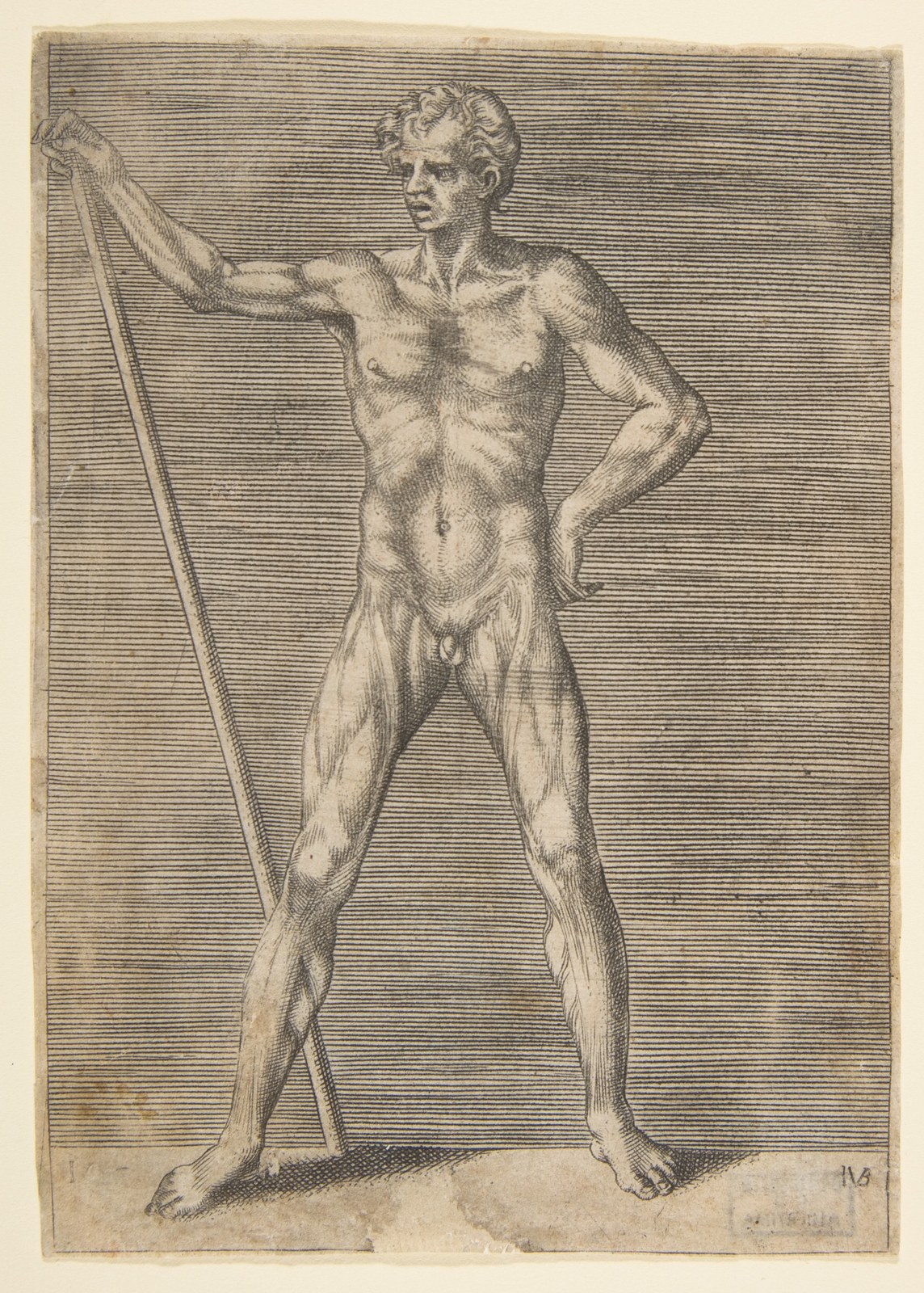 Flayed man seen frontally, holding a stick — Giulio Bonasone