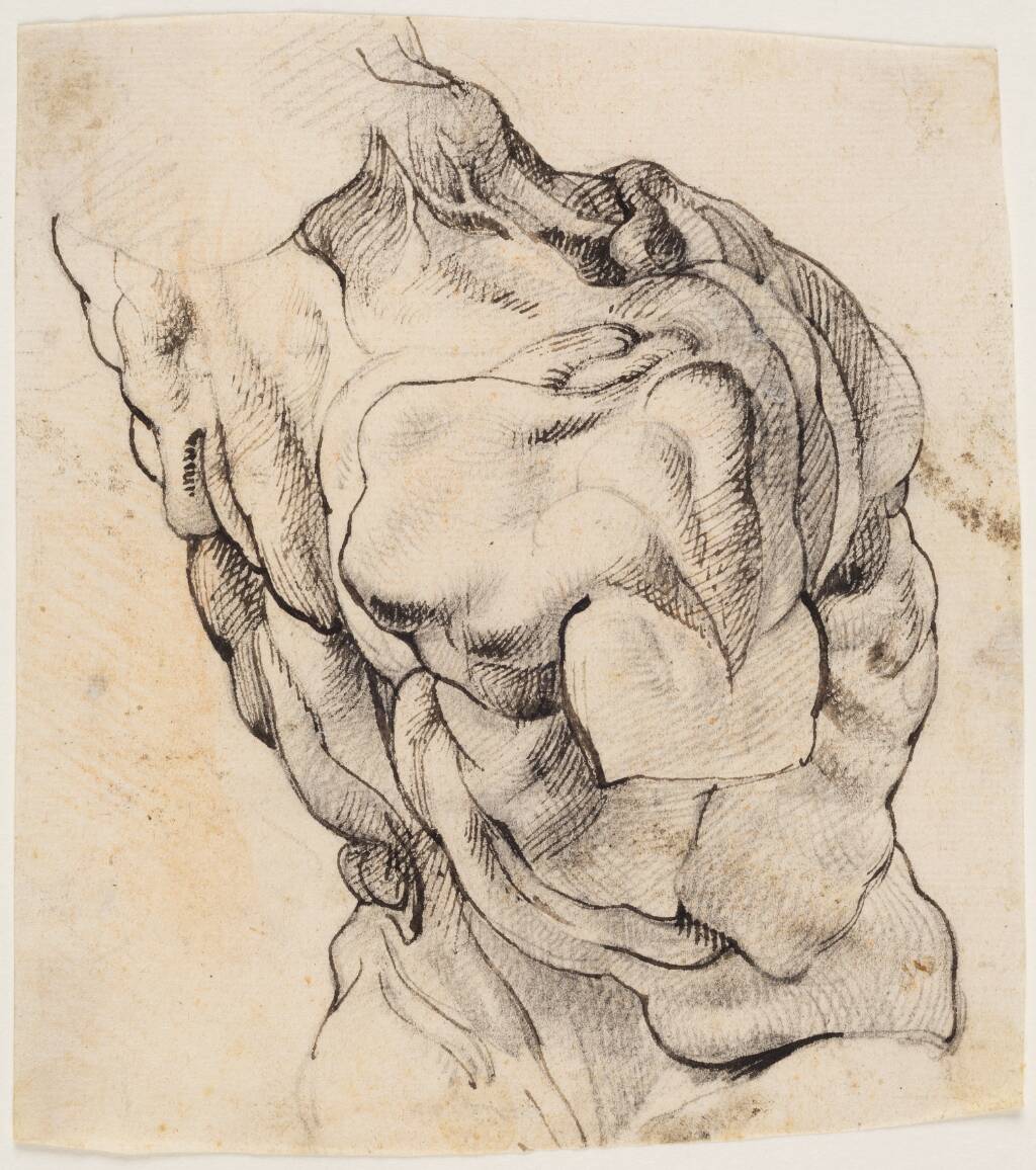 Anatomisk studie (écorché). En flået mands torso, set bagfra, halvt højredrejet — Willem Panneels