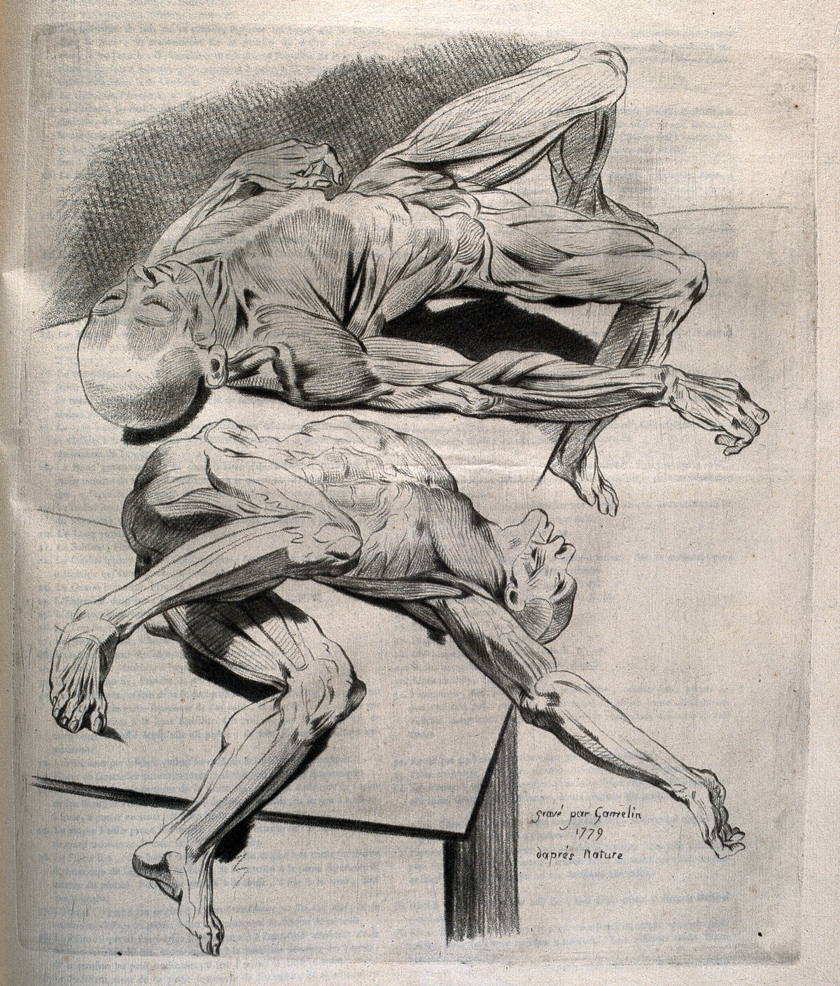 Two écorché figures lying on a table. Crayon manner print by J. Gamelin after himself, 1779. — Artiste inconnu