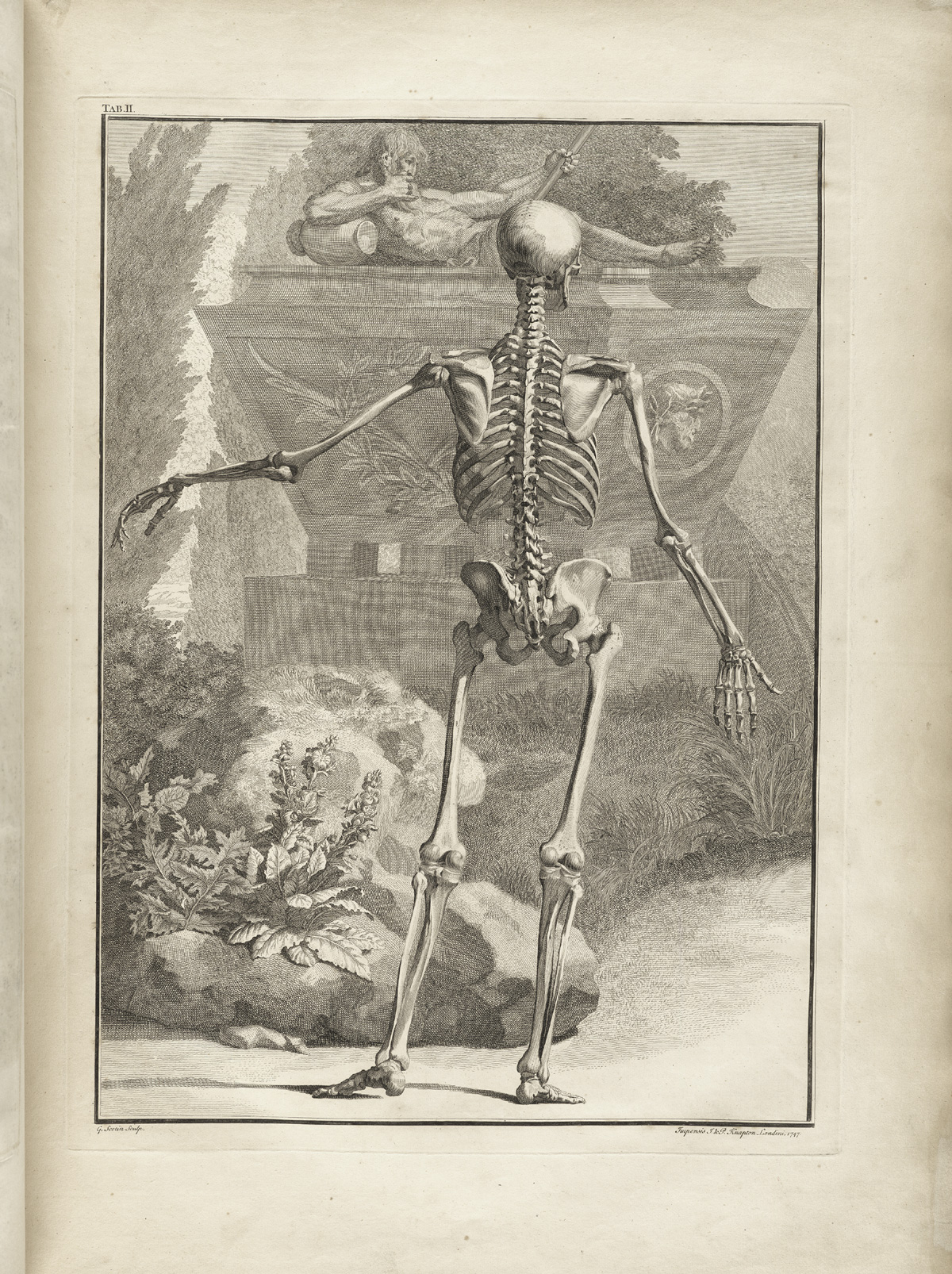 Albinus t02 — Bernhard Seigfried Albinus