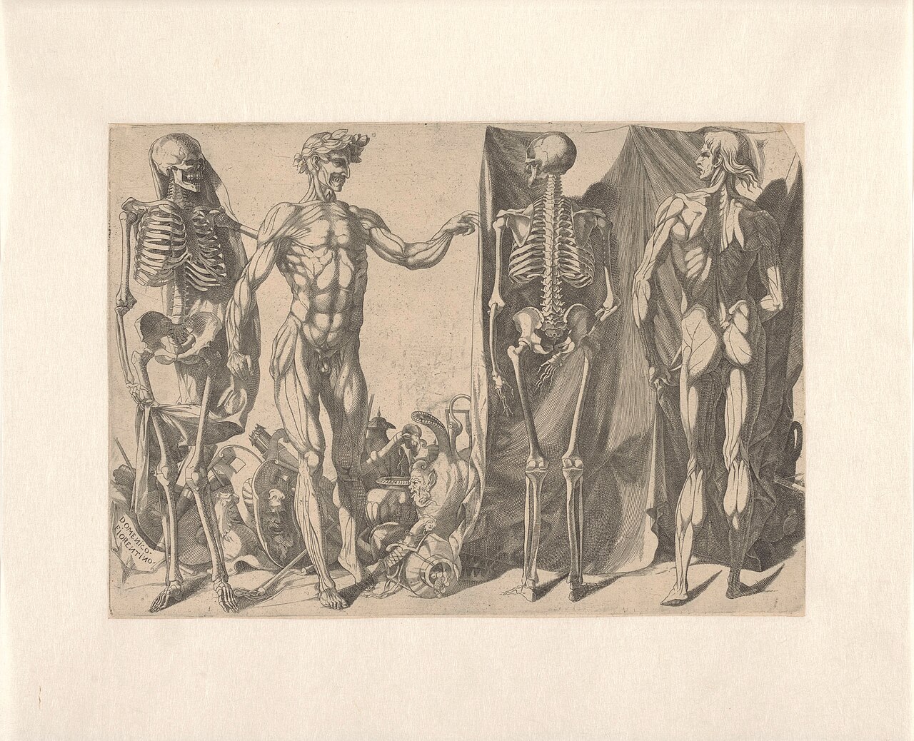 Skeletten en Écorchés, RP-P-2018-567 — Artiste inconnu