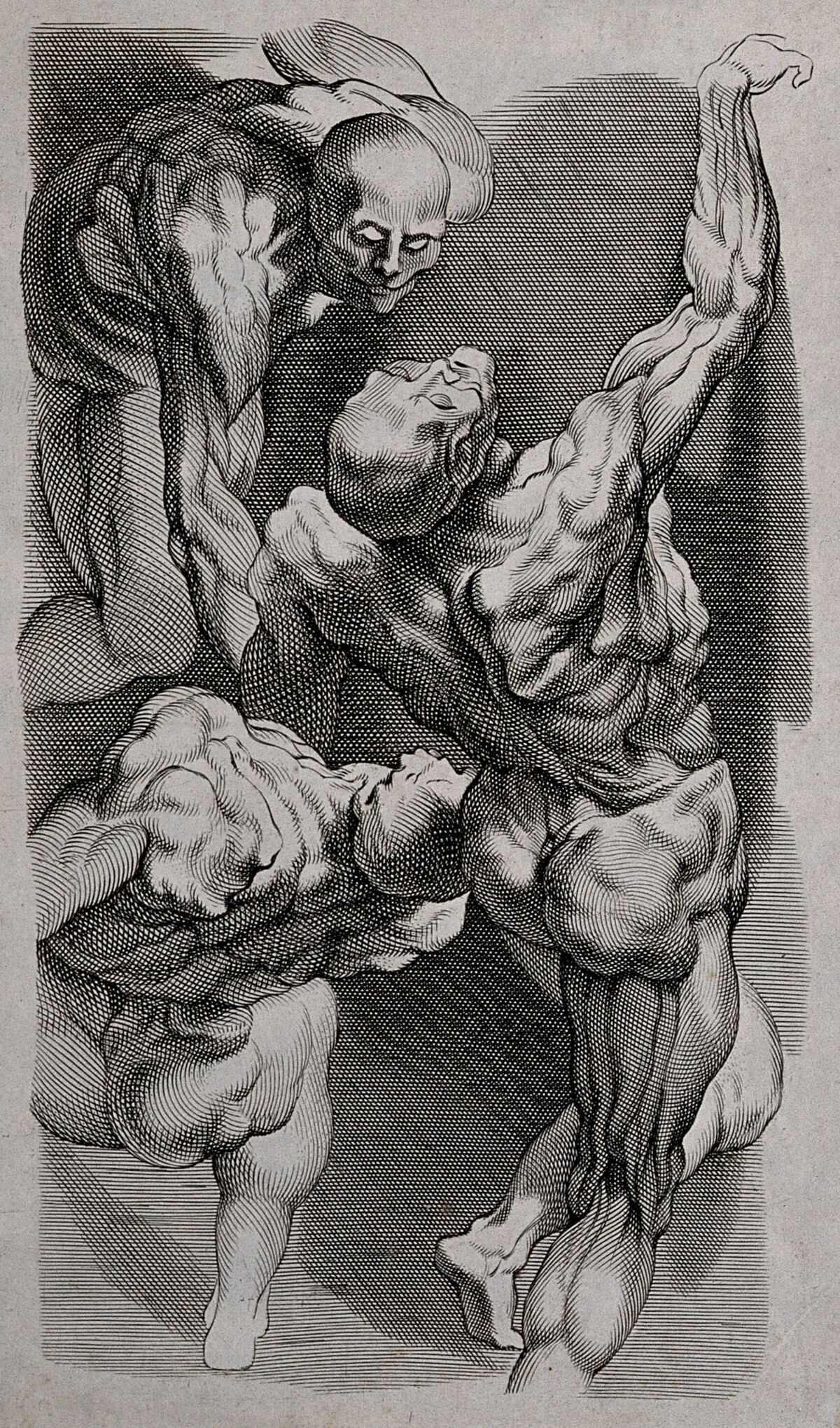 Three écorché male figures. Engraving. — Artista ignoto