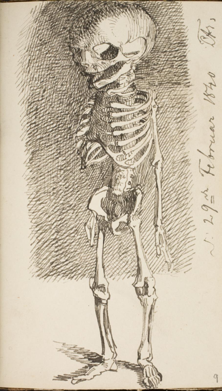 Skitse af et stående skelet — Lorenz Frølich