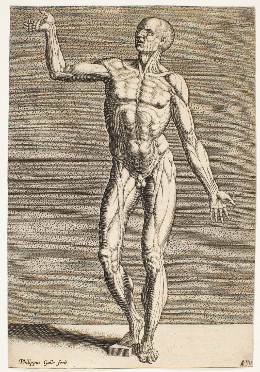 Anatomiske figurer (Instructions et fondements de bien pourtraire) — Philips Galle