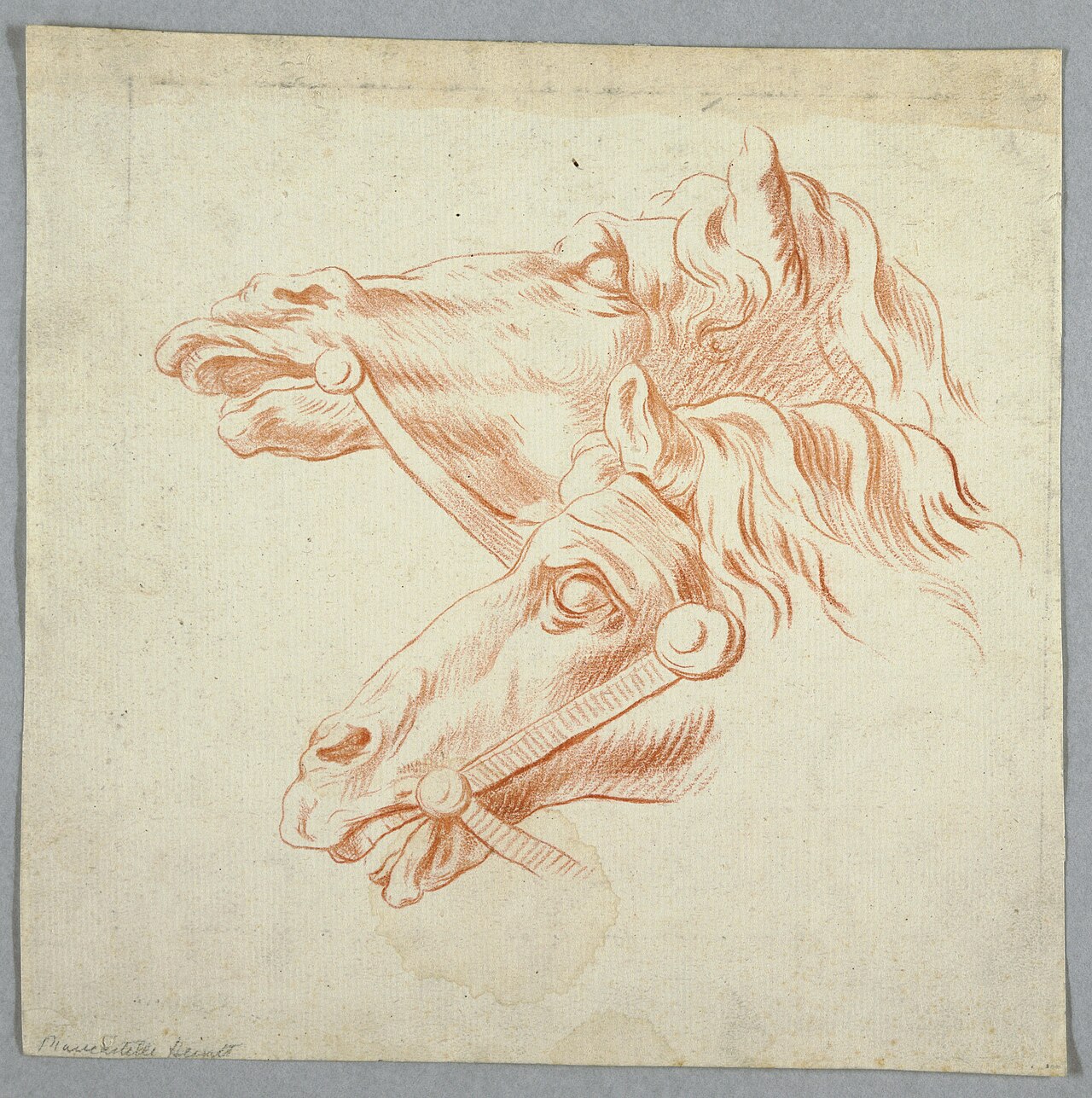 Drawing, Horse Studies, ca. 1815 (CH 18126611) — Unbekannter Künstler