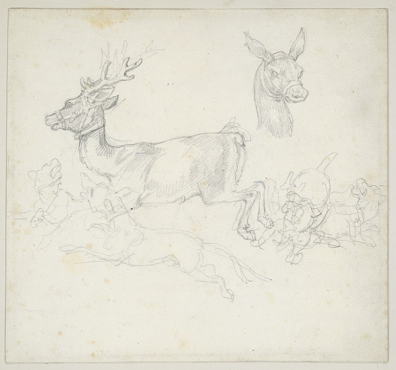 Géricault - Study of Deer Chased by Dogs, Doe’s Head (verso), 1965.9.19a-b — Théodore Géricault