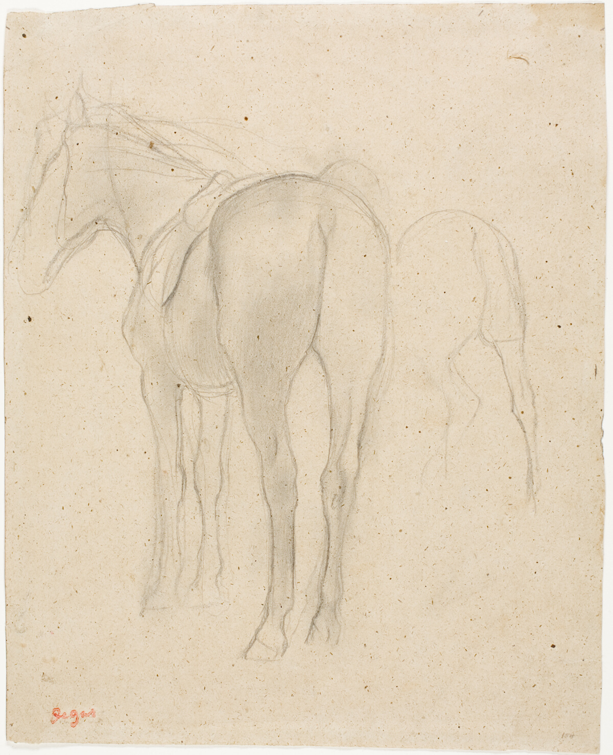 Studies of a Horse — Hilaire Germain Edgar Degas