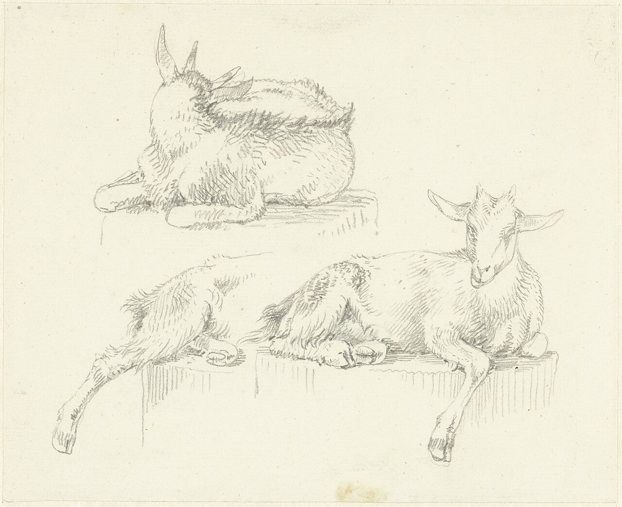 Drie studies van liggende geiten, RP-T-1938-26 — Joseph August Knip