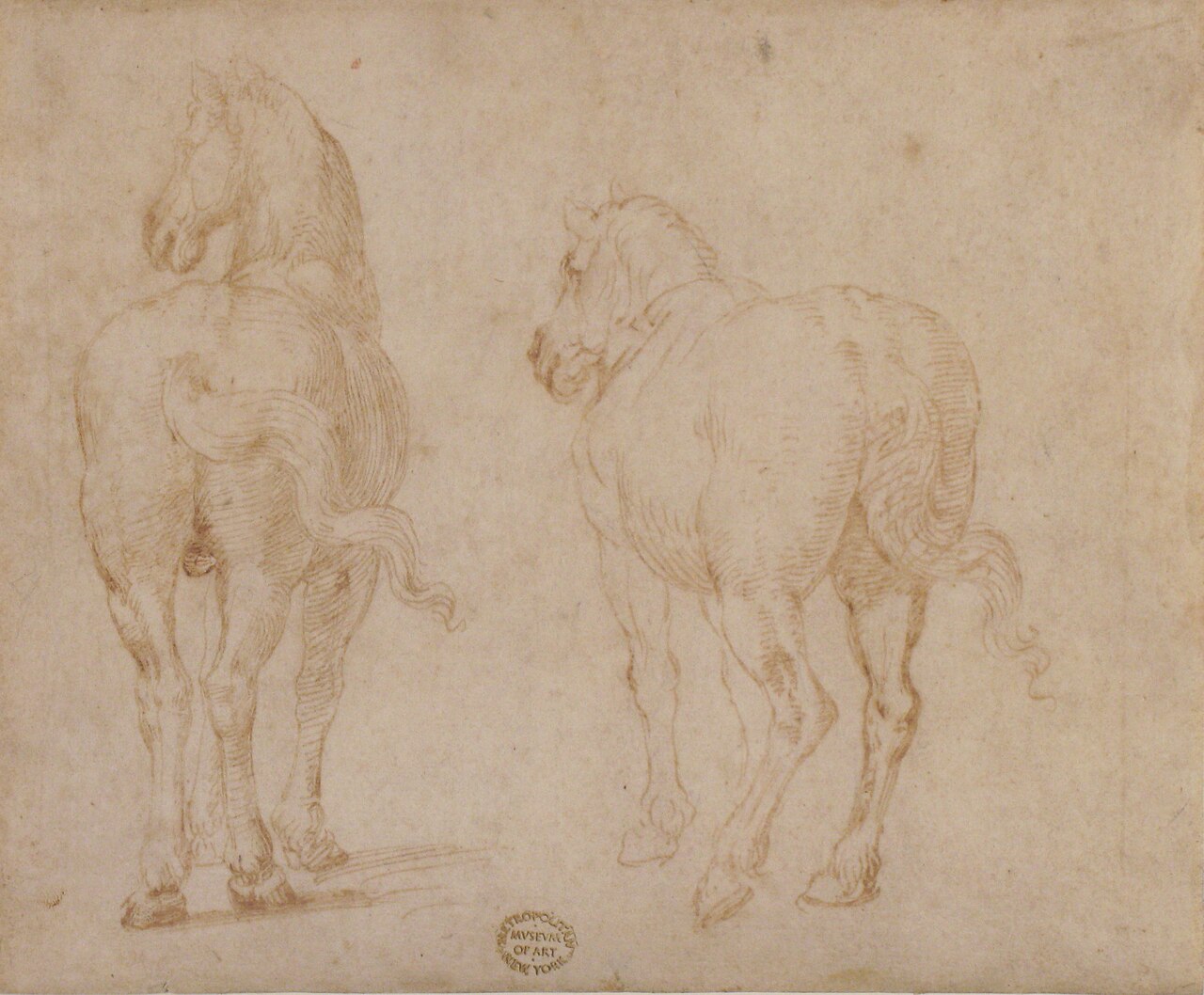 Horses. MET 80.3.318 — Parmigianino / Formerly attributed to Francesco Allegrini da Gubbio