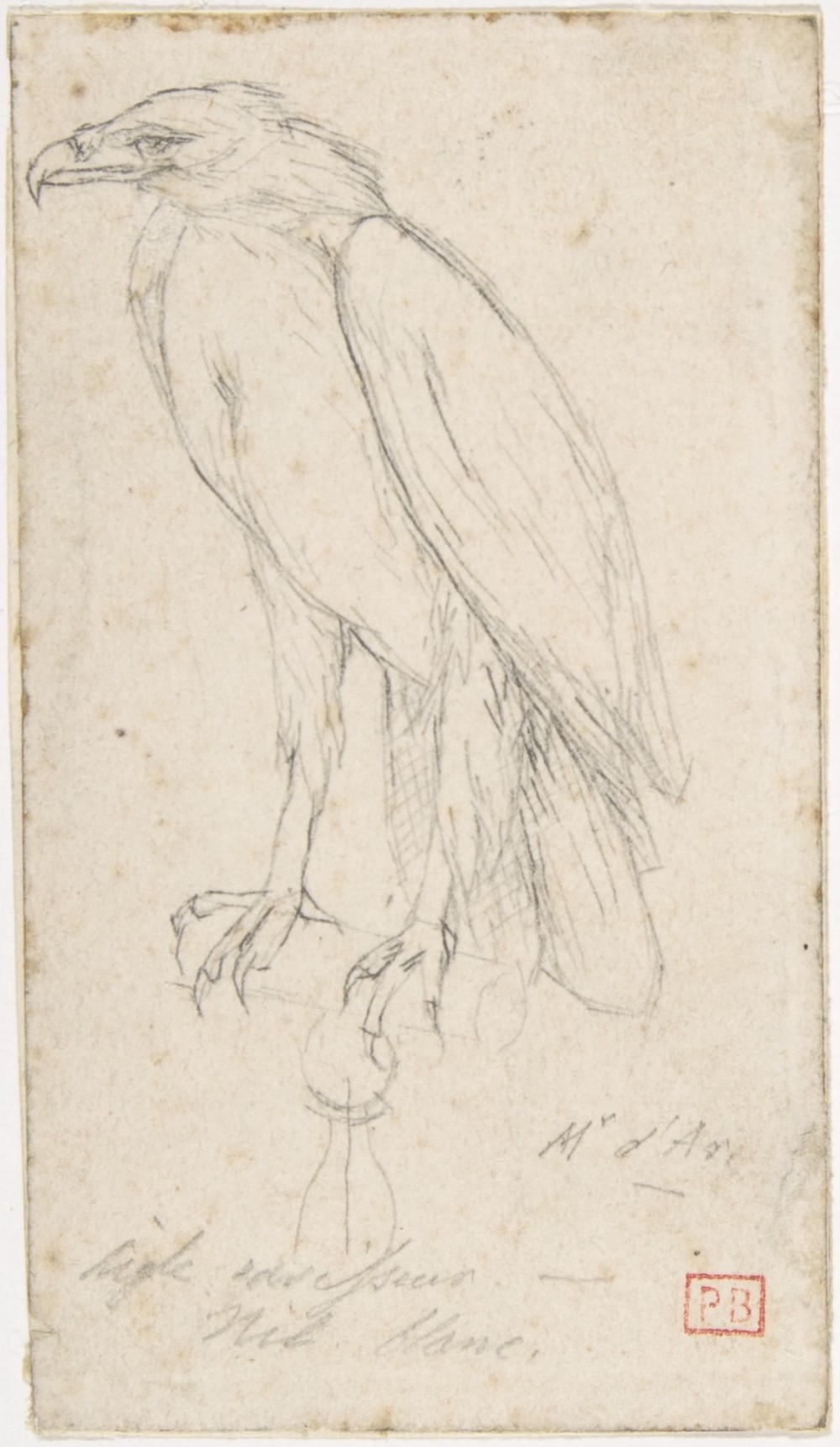A Golden Eagle MET DP807609 — Charles Méryon