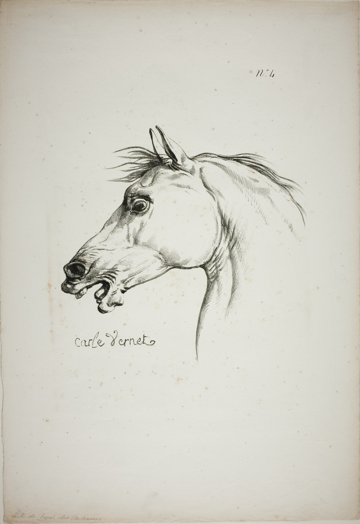 Detail of Horse's Head, Enlarged to Triple Size, Norman Royal Guard, No. 4 — Carle Vernet