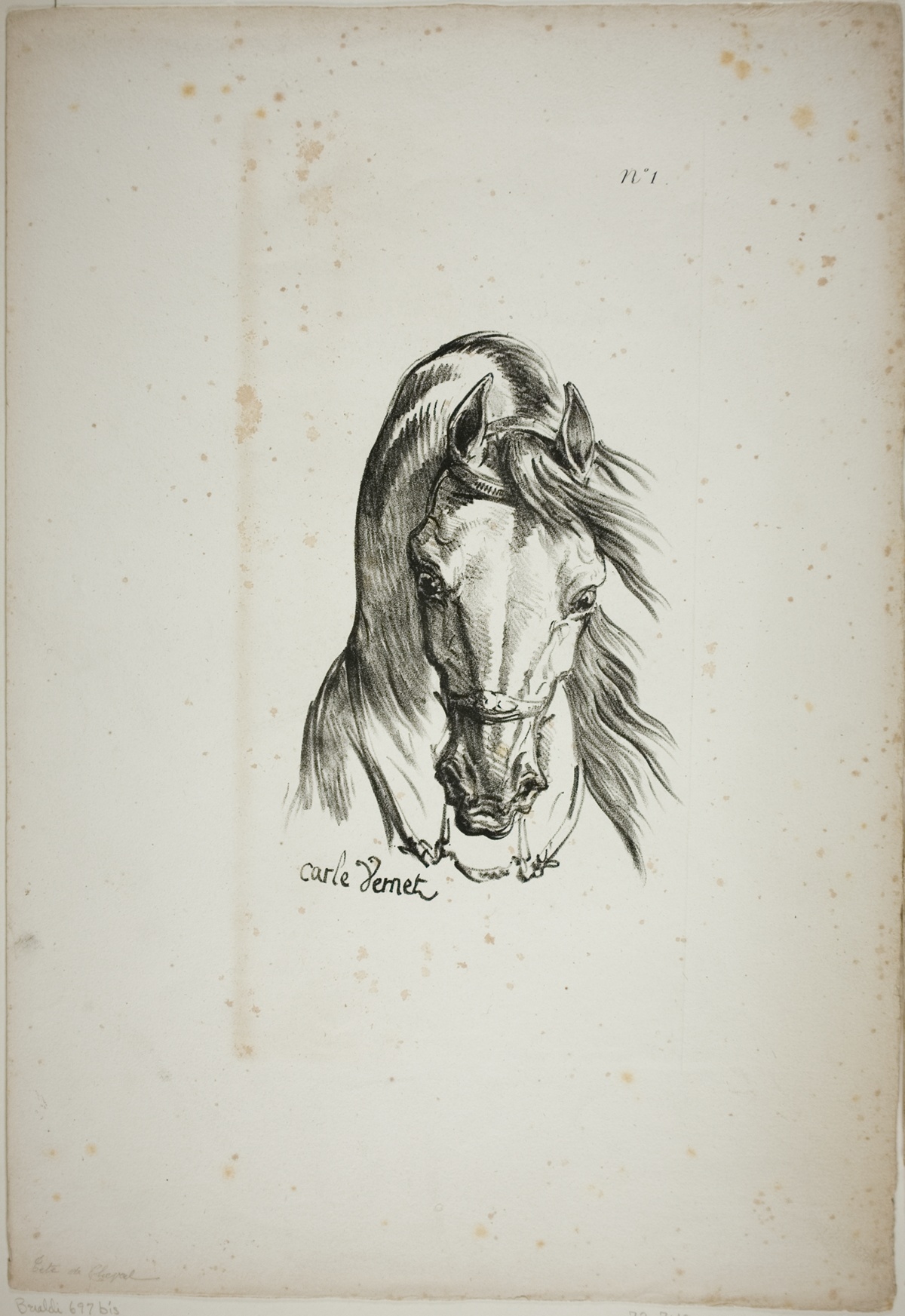 Detail of Horse's Head, Enlarged to Triple Size, Norman Royal Guard, No. 1 — Carle Vernet