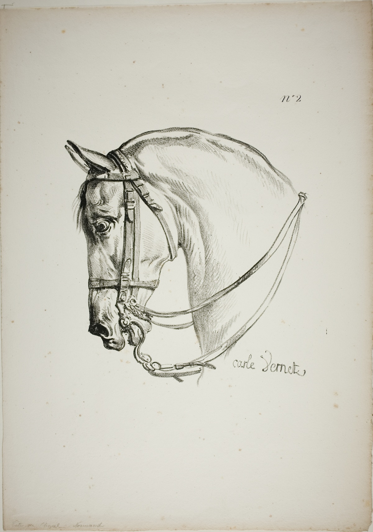 Detail of Horse's Head, Enlarged to Triple Size, Norman Royal Guard, No. 2 — Carle Vernet