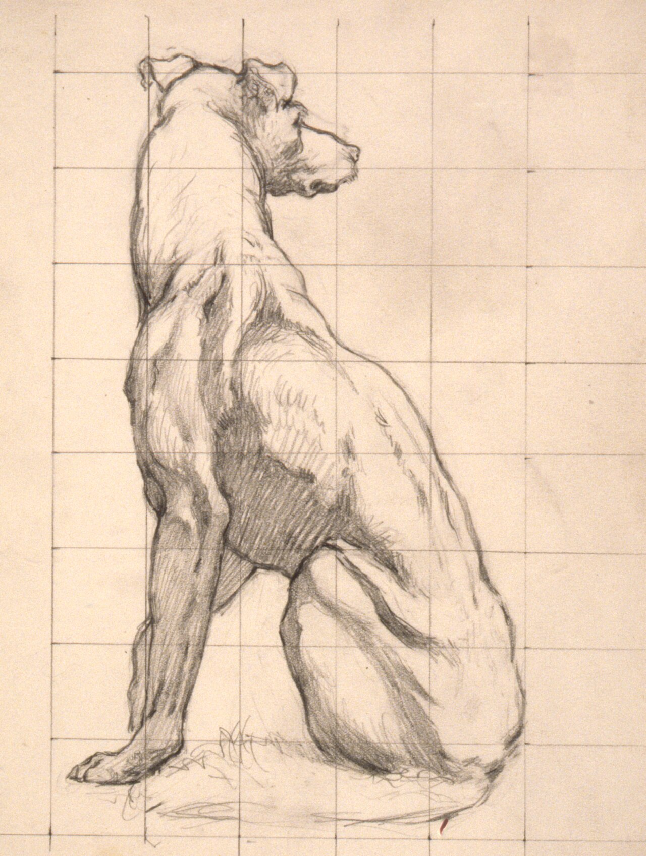 (Iowa State Capitol Rotunda) (Hunting, study for panel) SAAM-1959.10.8 1 — Cox, Kenyon