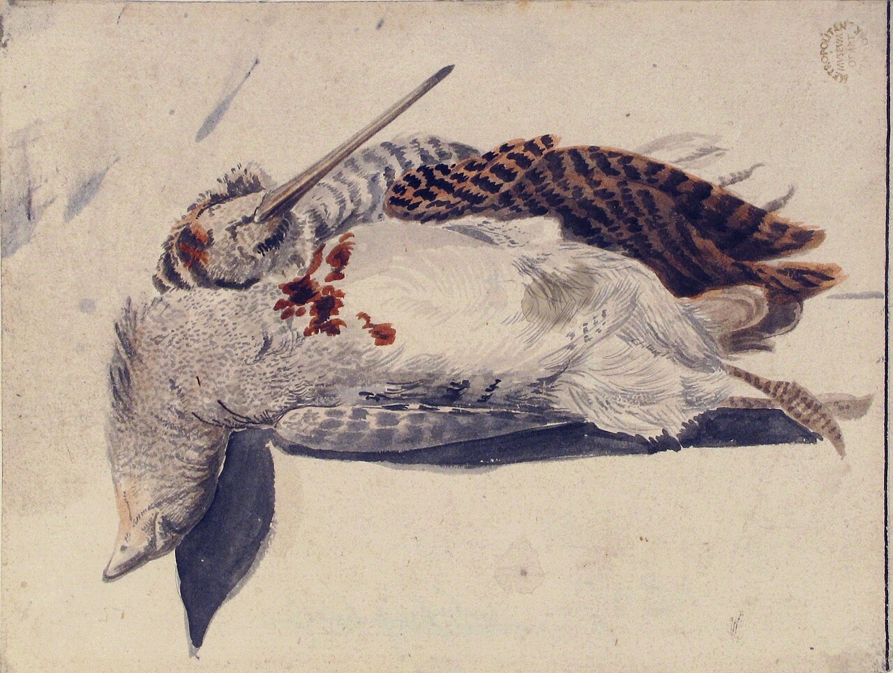 Two Dead Birds (A Quail and a Long-Beaked Bird). MET 80.3.205 — Giorgio Duranti