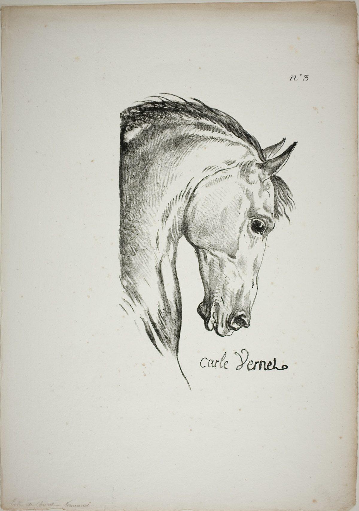 Detail of Horse's Head, Enlarged to Triple Size, Norman Royal Guard, No. 3 — Carle Vernet