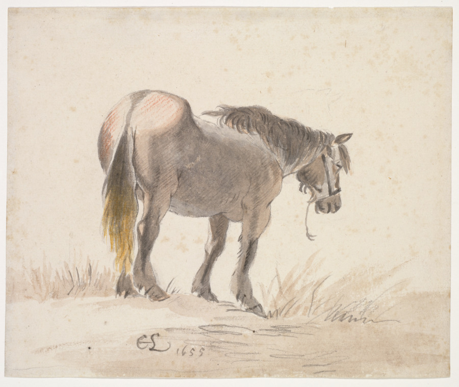 Horse Standing on a Mound — Cornelis Saftleven
