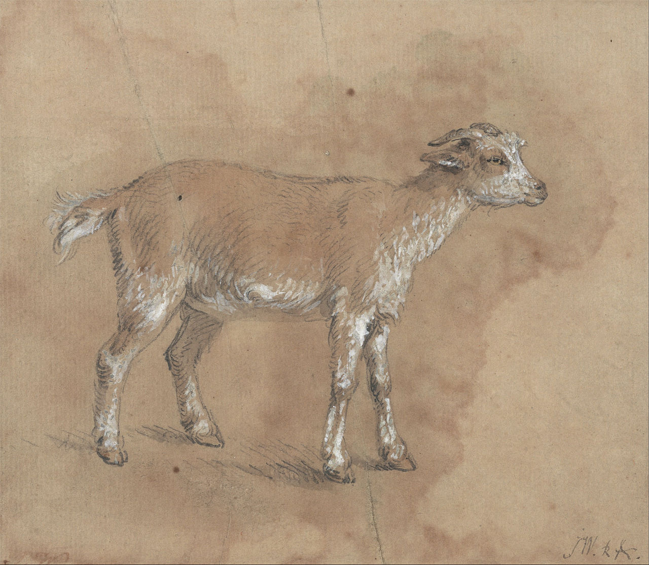 James Ward - Study of a Kid - Google Art Project — James Ward
